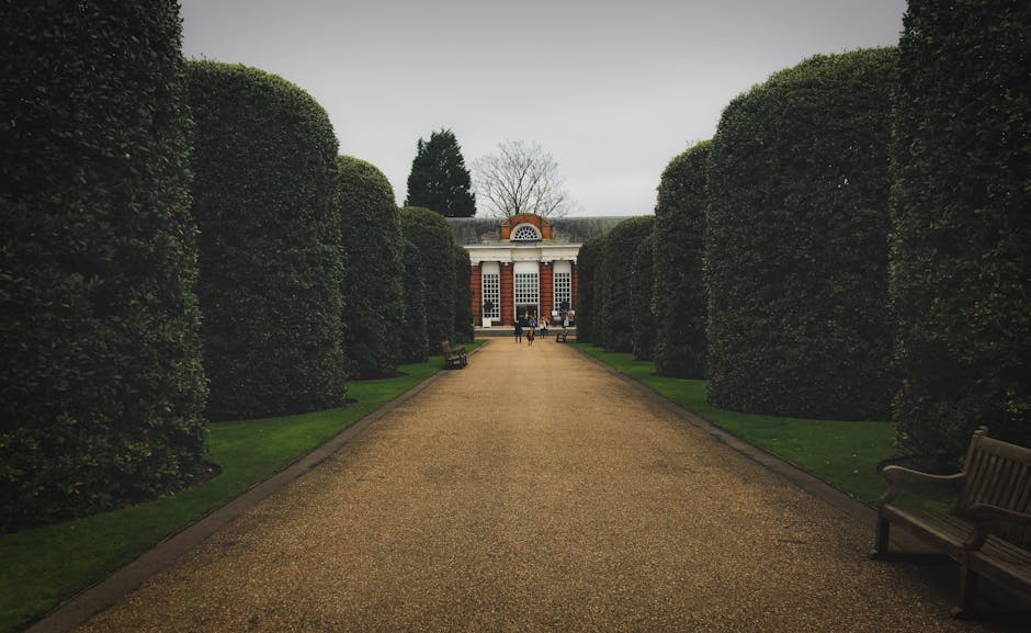 A wide, straight gravel pathway flanked on both sides by tall, neatly trimmed dark green hedges leads towards a red-brick building with white accents and multiple large windows. The hedges are dense and uniform, creating a symmetrical corridor that guides the eye directly to the building at the end of the pathway. The gravel surface is smooth and light brown, contrasting with the rich green of the surrounding grass and the dark foliage of the hedges. In the distance, several visitors are visible near the entrance of the building, some standing and others walking, suggesting a public or visitor area. The environment appears to be well maintained, with benches positioned along the edges of the pathway, some made of dark wood, inviting passive resting or viewing. The sky above is overcast, casting a diffuse light across the scene, which is typical of a cloudy day. This setting, with its structured landscaping and formal design, may relate to private or non-local authority waste removal contexts, often involved in maintaining historic or decorative gardens, as would be managed by services like House Clearance Kensington for events at historic venues.
