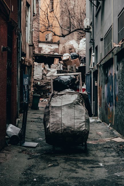 https://houseclearancekensington.co.uk/blog/same-day-rubbish-removal-options-for-urgent-kensington-jobs/